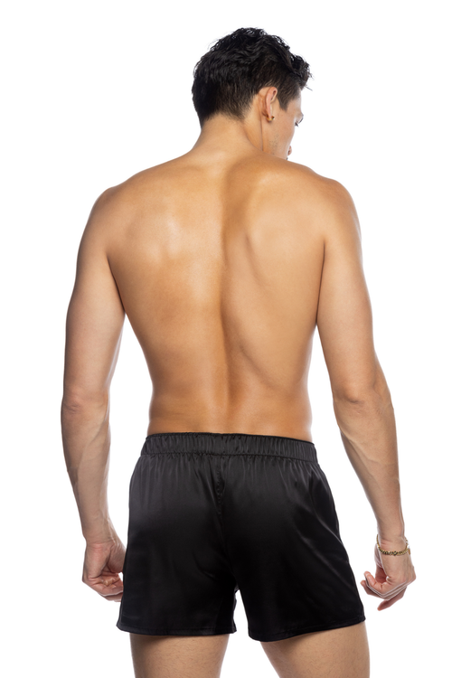 Black Champion Boxer