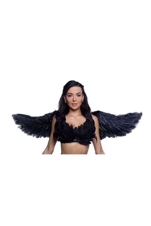 Wings