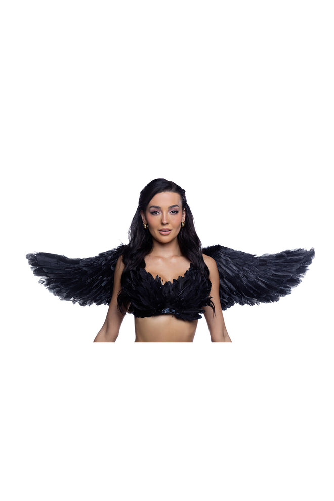 Wings