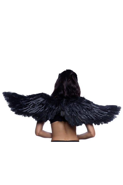 Wings