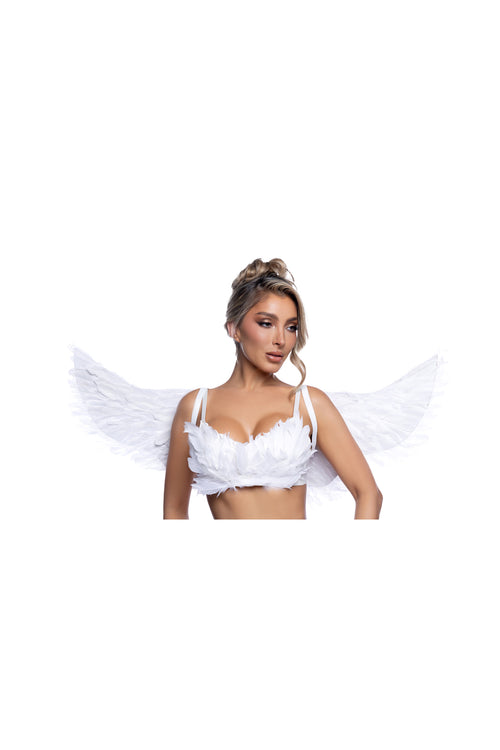 Wings