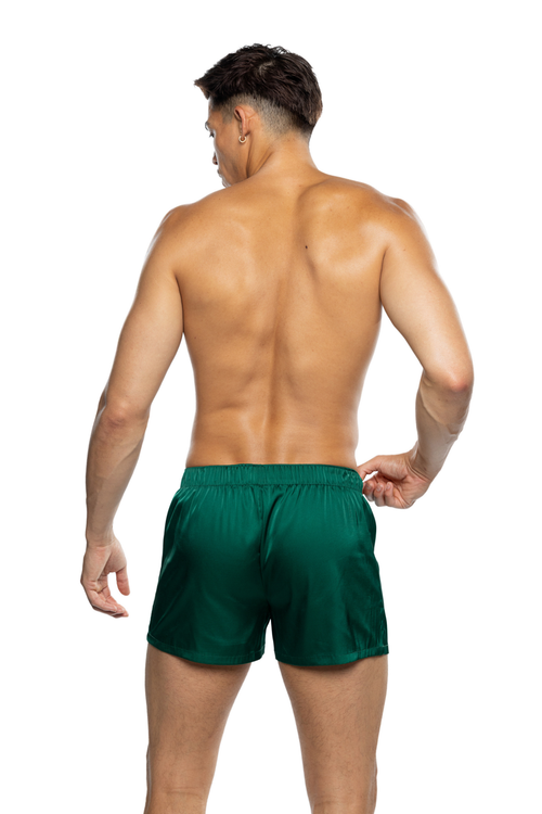 Green Champion Boxer
